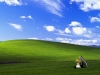 Fun wallpaper 89